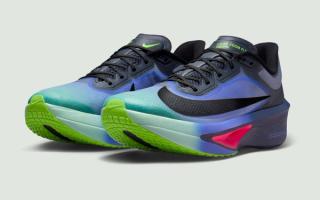 Men's Nike Zoom Fly 6