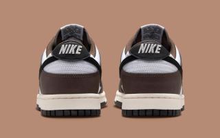nike dunk low next nature cacao wow hf4292 200 5