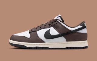 nike dunk low next nature cacao wow hf4292 200 2
