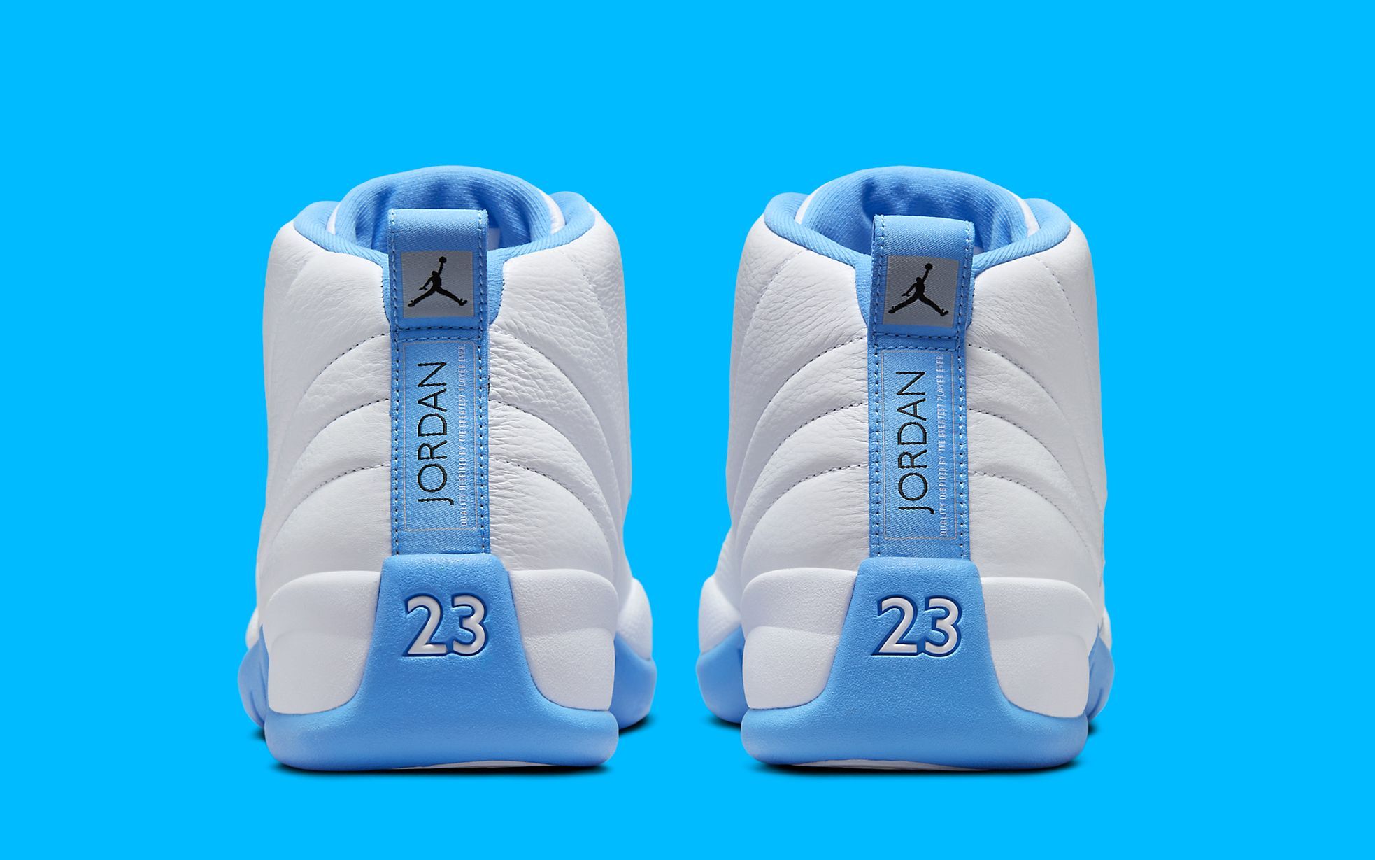teal jordan 12