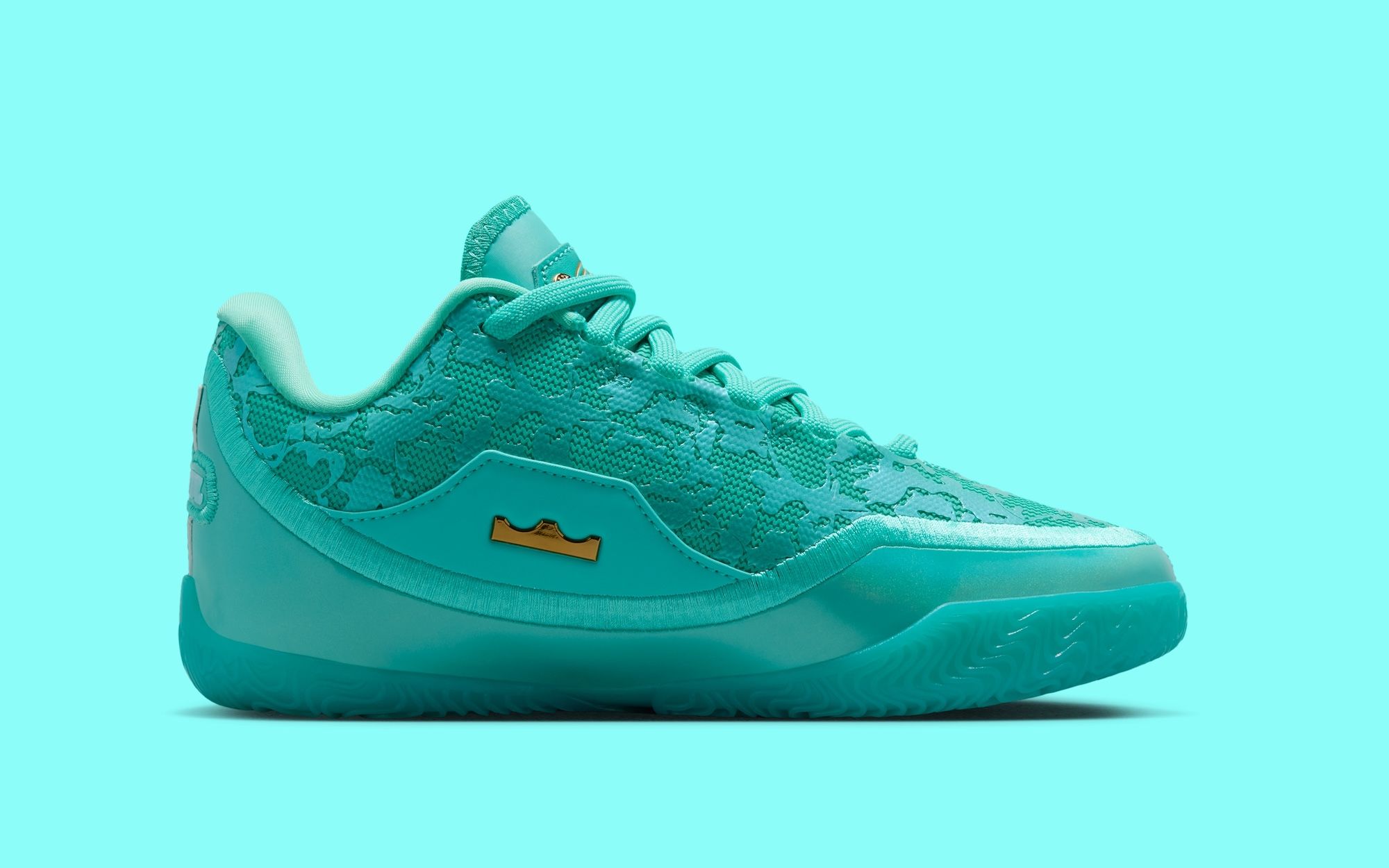 lebron james martin luther king shoes