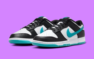 The Nike Dunk Low "Panda" Appears With A "Dusty Cactus" Twist