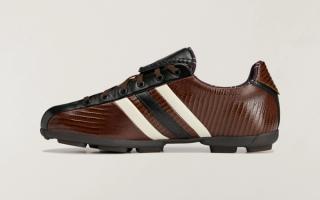 "Dark Brown" The Field Lizzard by Wales Bonner & adidas Y-3.