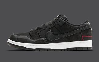 wasted youth nike sb dunk low DD8386 001 release date 2