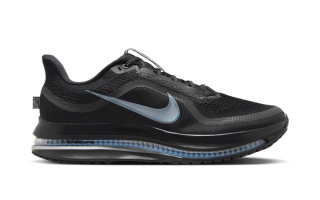 Women's Nike Pegasus Premium "Black/Metallic Silver"