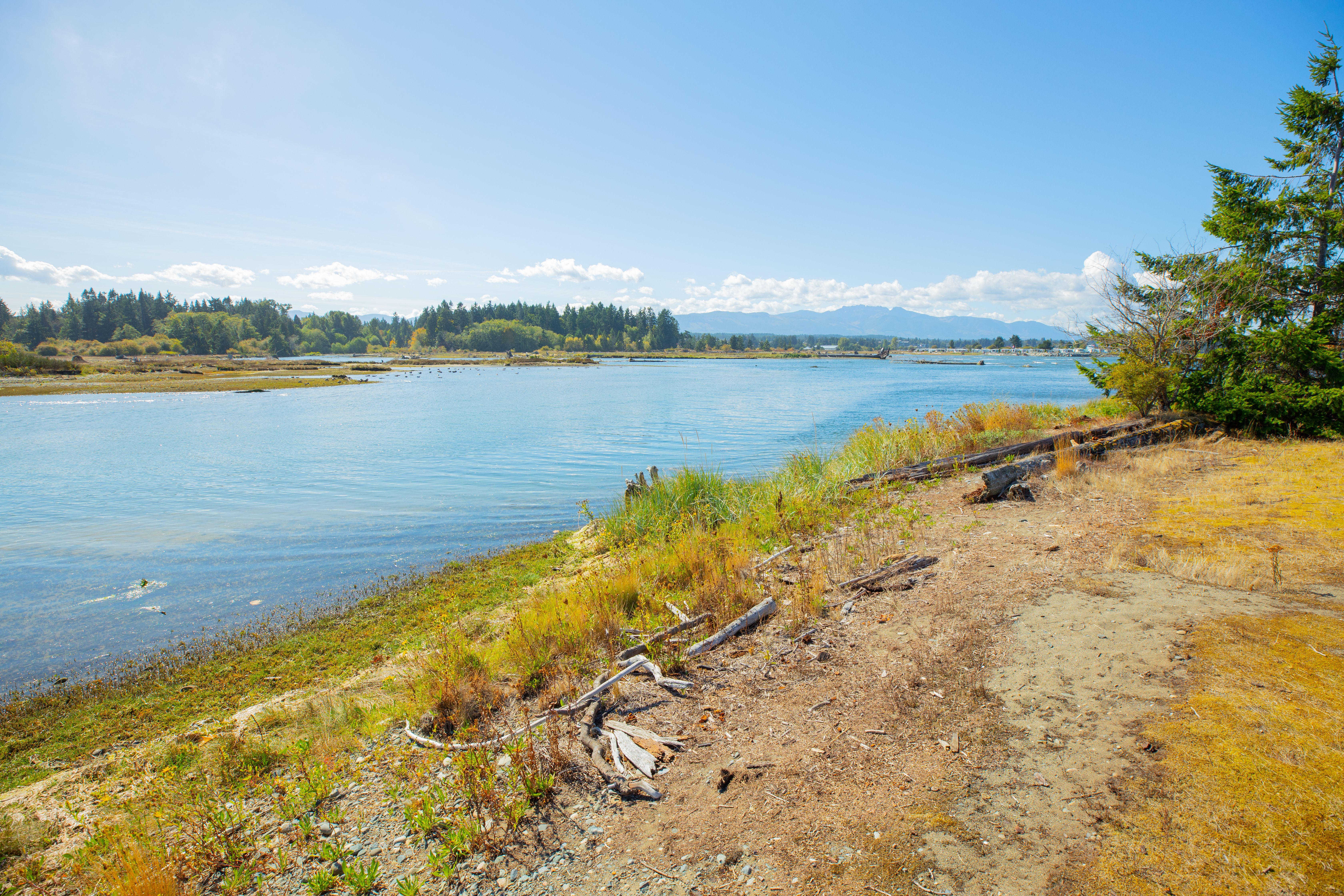 BC Parks Foundation, Wilson 5 Foundation $100M Donation, Protect British Columbia's Biodiversity