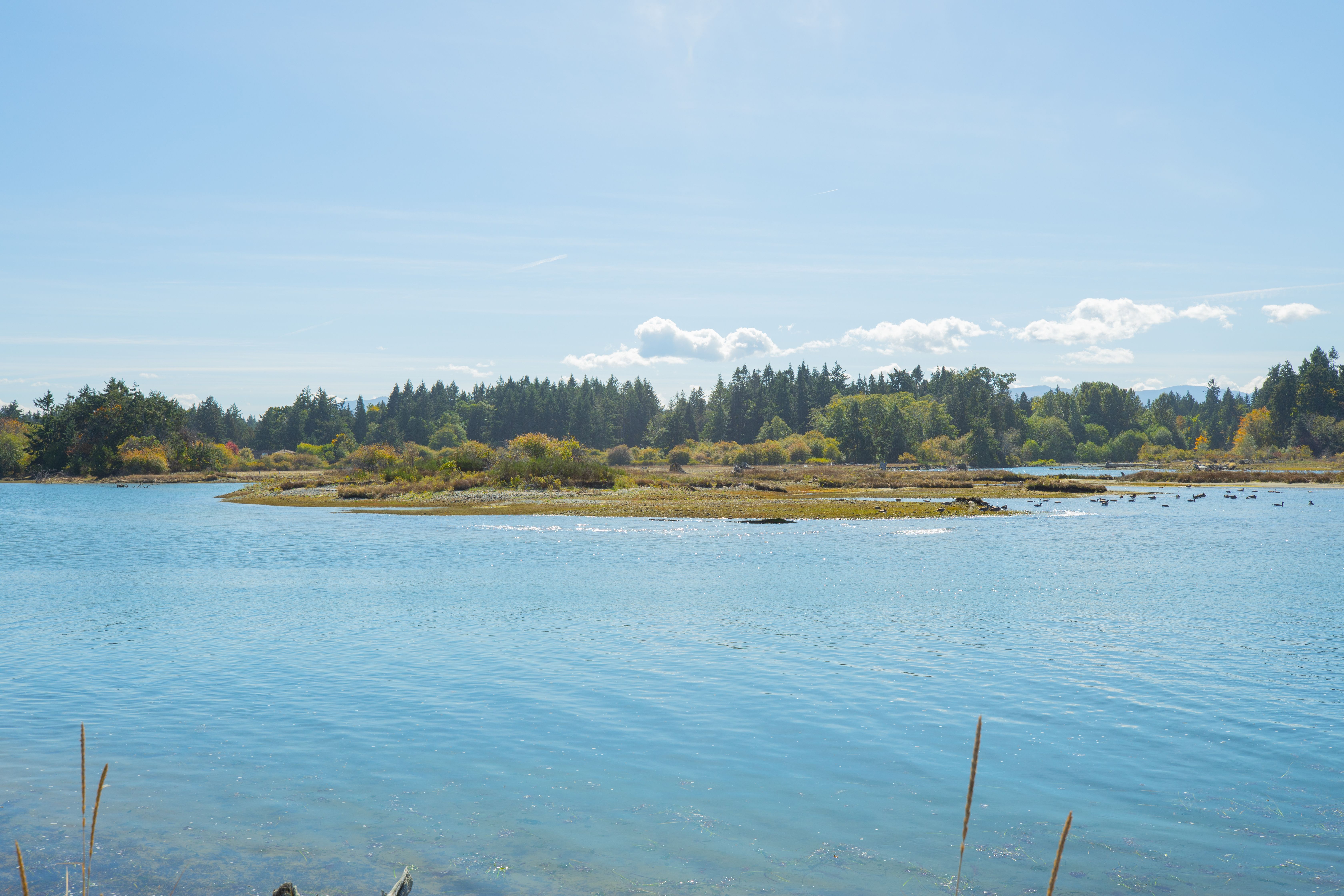 BC Parks Foundation 25x25 Campaign $100M Gift To Preserve Nature in British Columbia