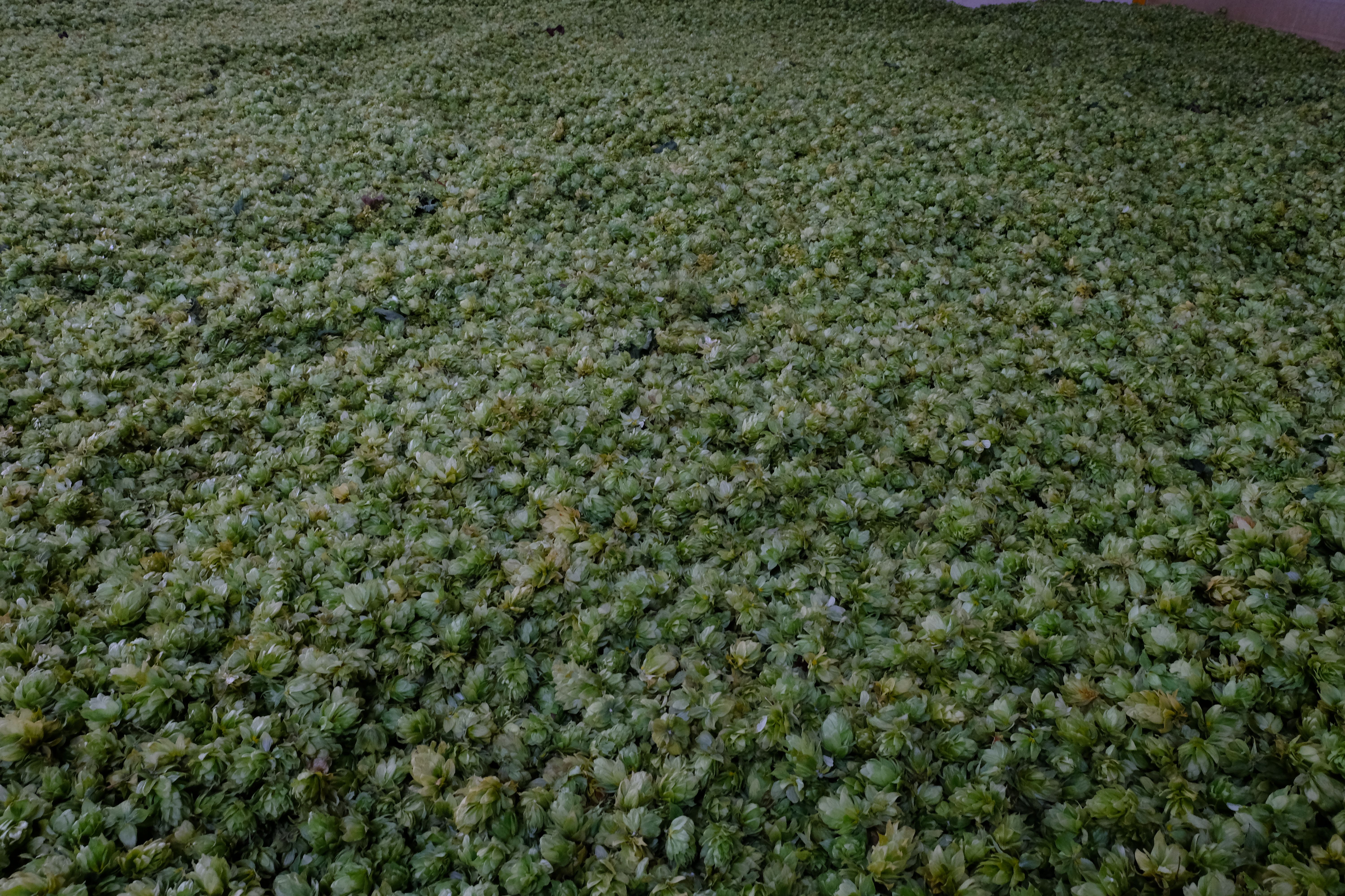 Promo example cover image