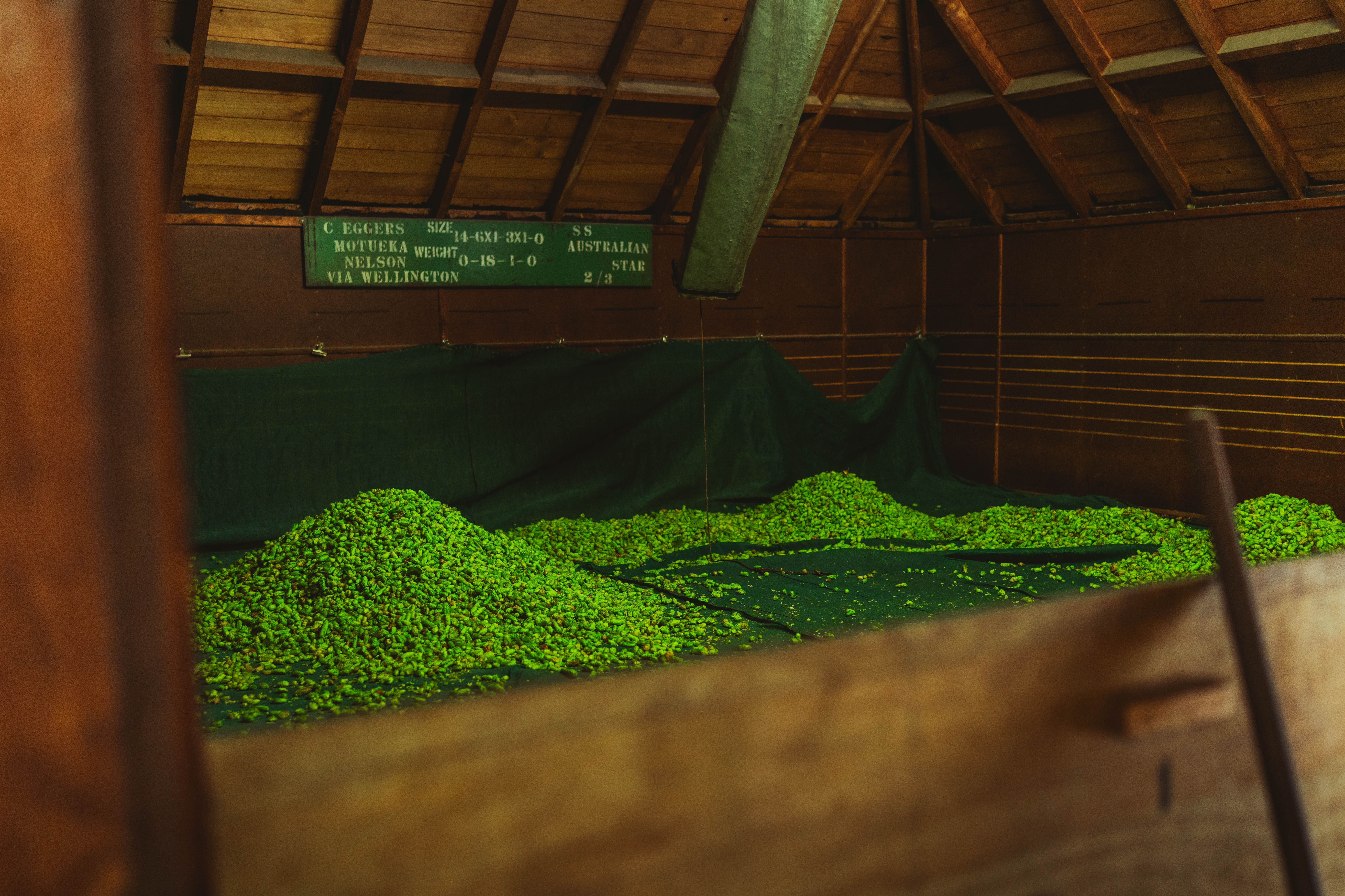 image-6c7c285e84bf4be969b85062dbda53ed7cb8f269-8514x5676-jpg