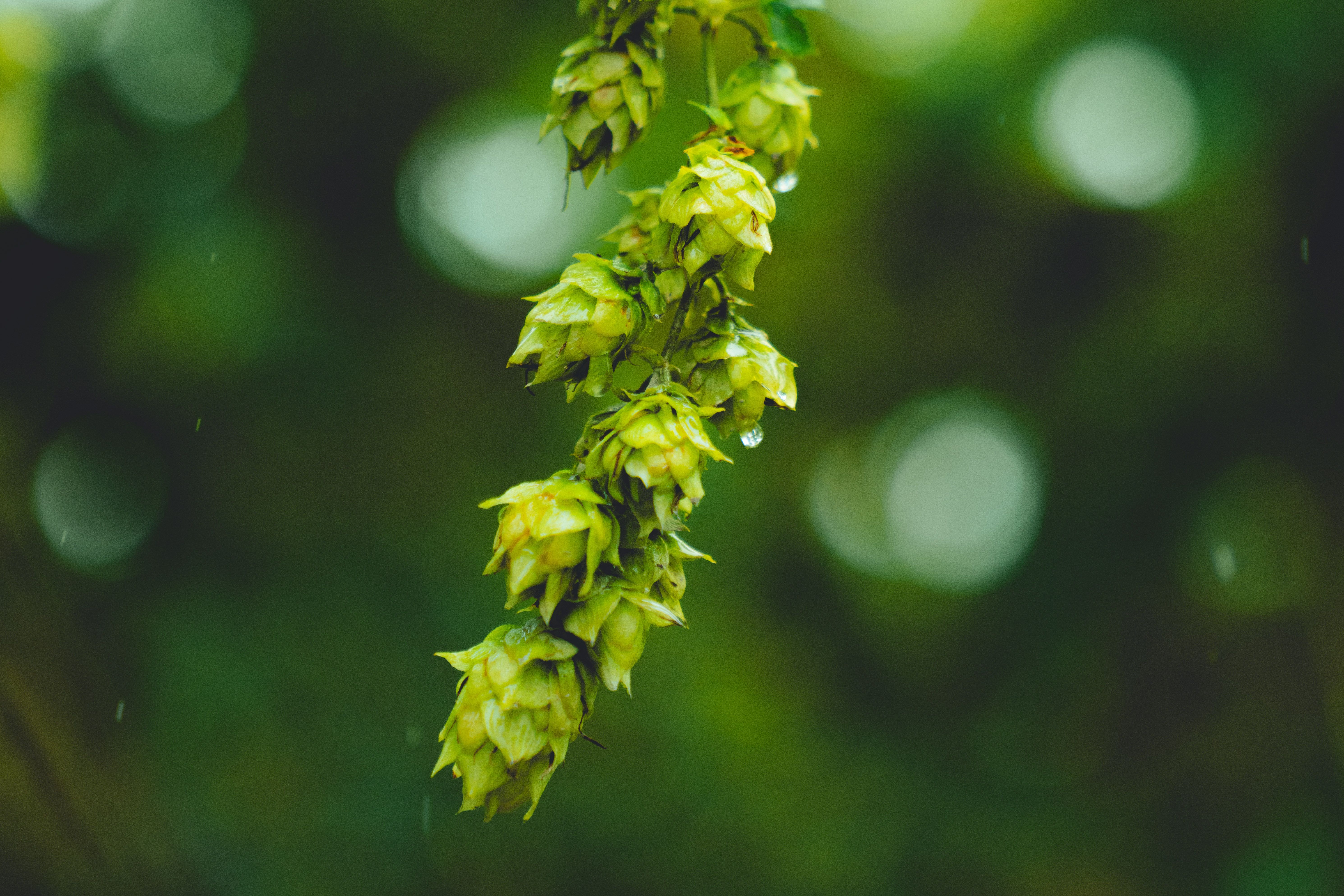 image-c5f556278f9bcd818b459b8e746ebc7f2174947f-5961x3974-jpg