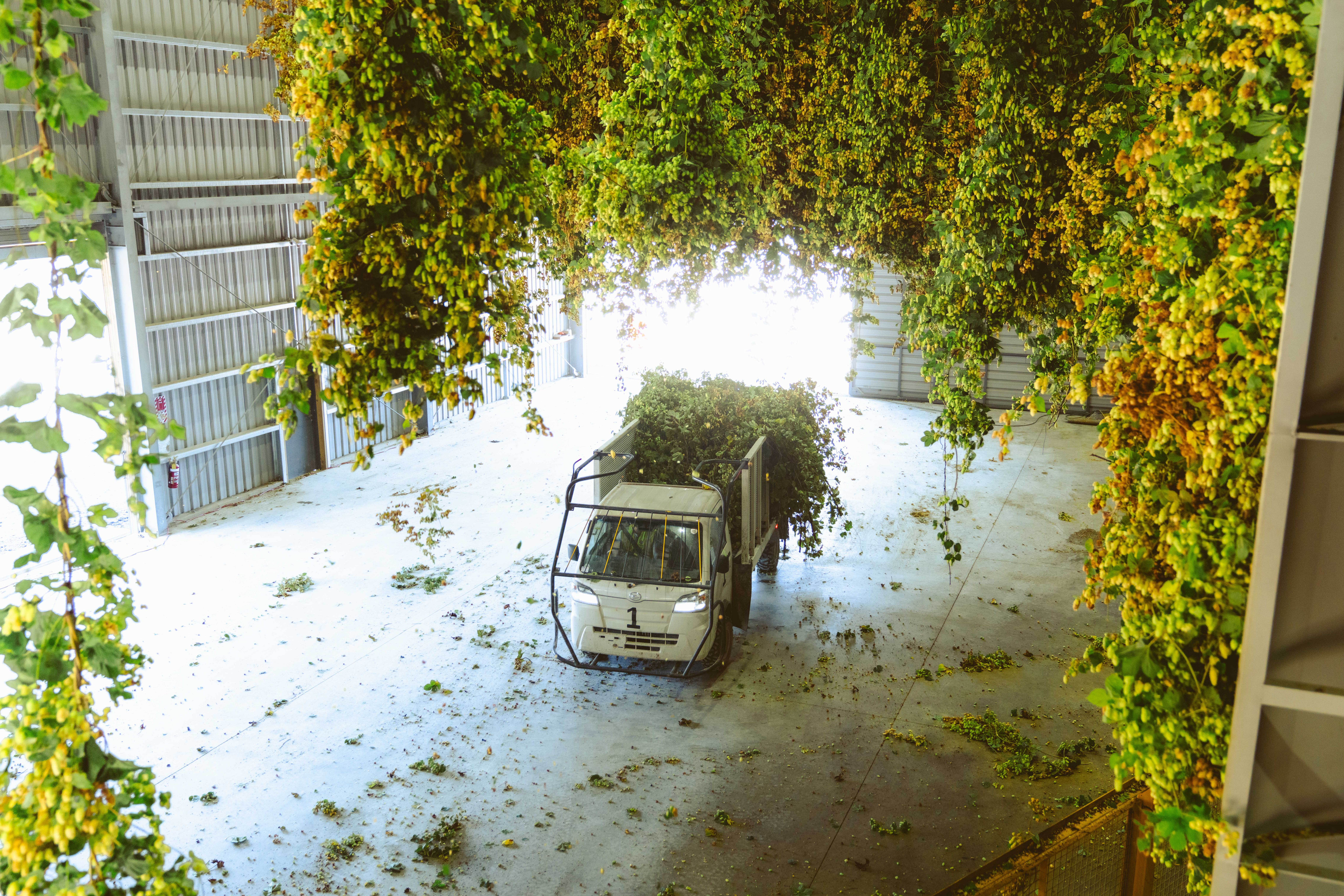 image-de26bd510b273dffdb207c5fba8ff46991fc557a-9063x6042-jpg