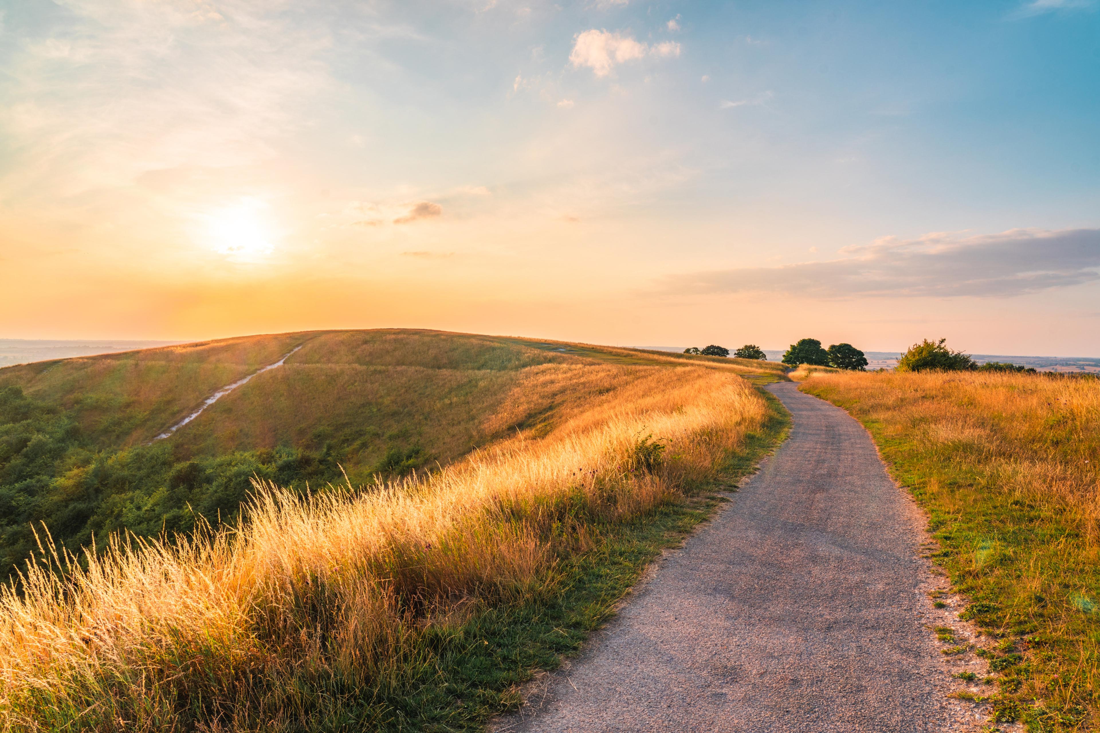From COVID-19 to The Age of AI: HR’s Wild Ride 