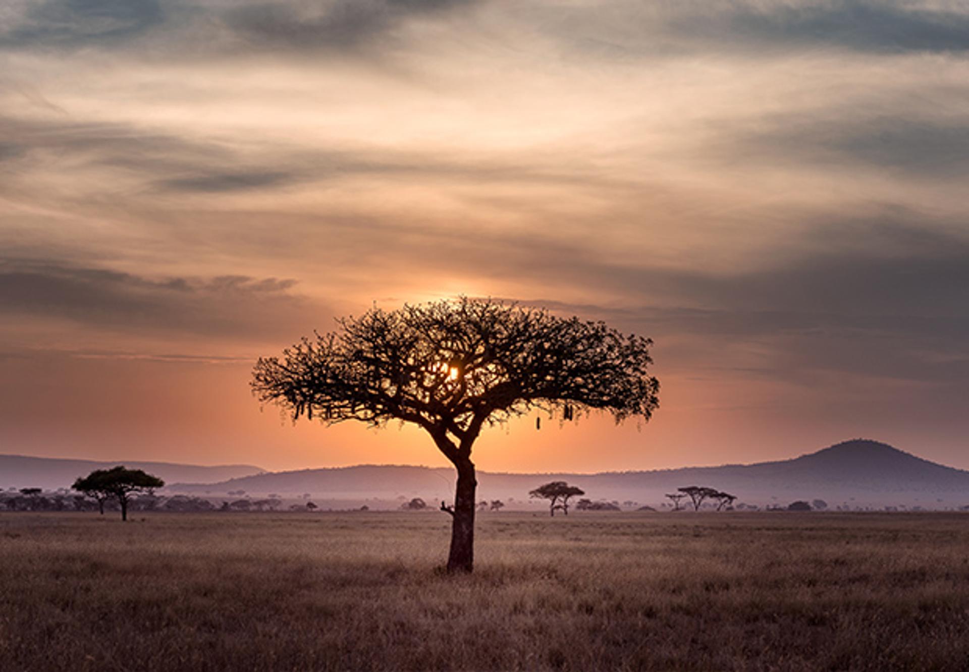 Tapping Into Africa's HR Talent