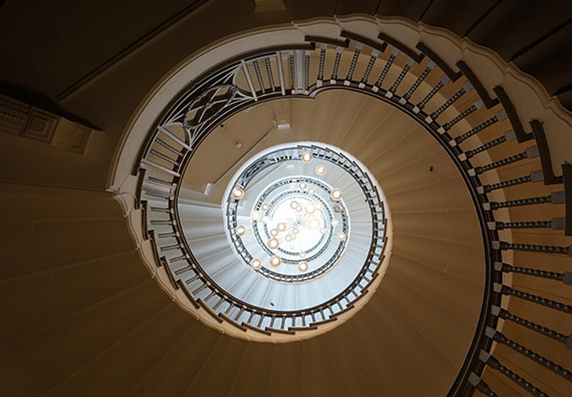 The Pulse of the Organisation—The Employee Experience