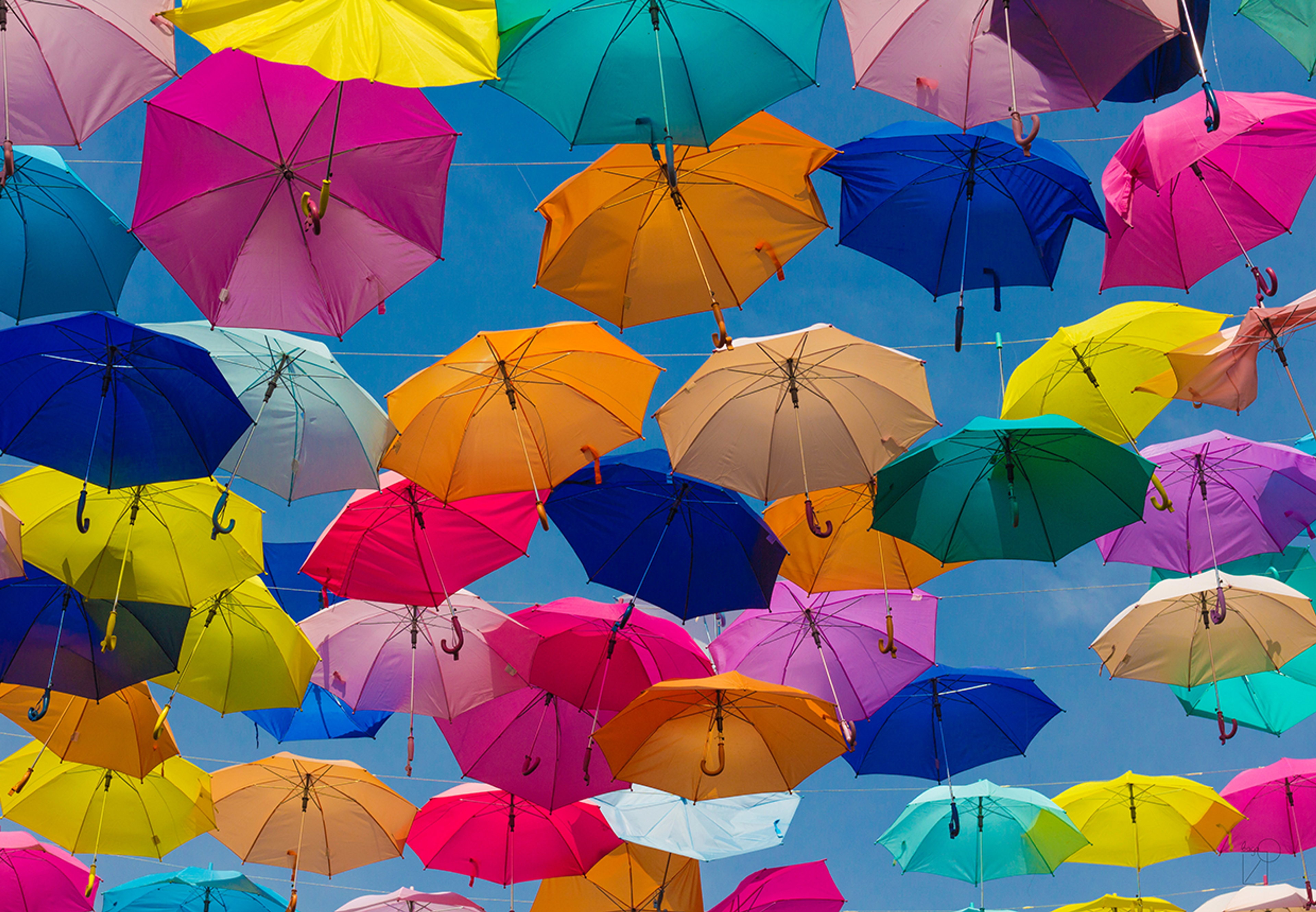 HR Culture Vultures in New York City