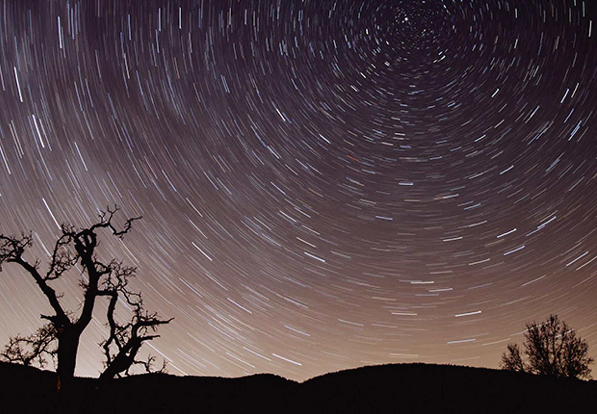 APAC Talent Life-Cycle Trends