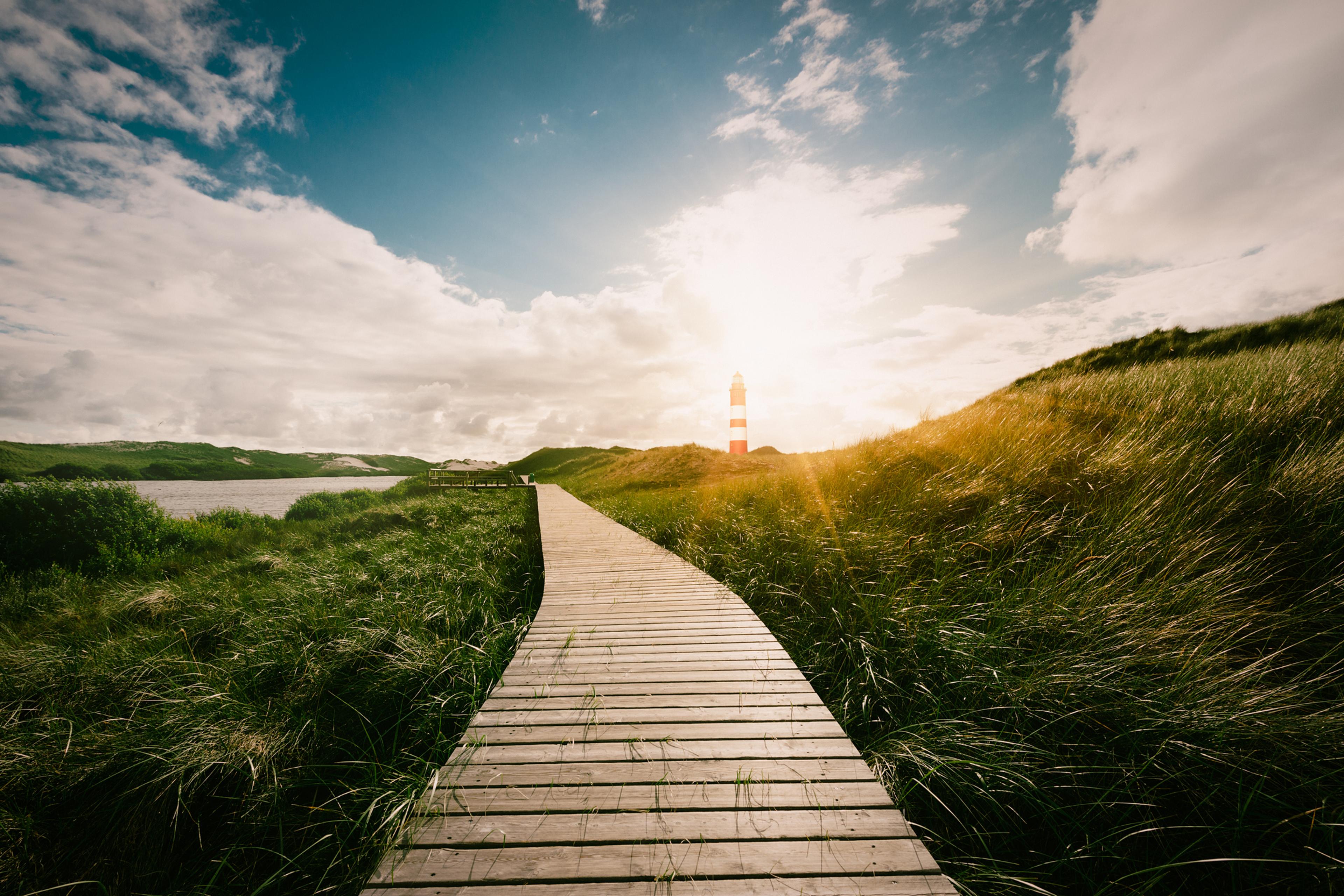 Global HR Outlook June 2025