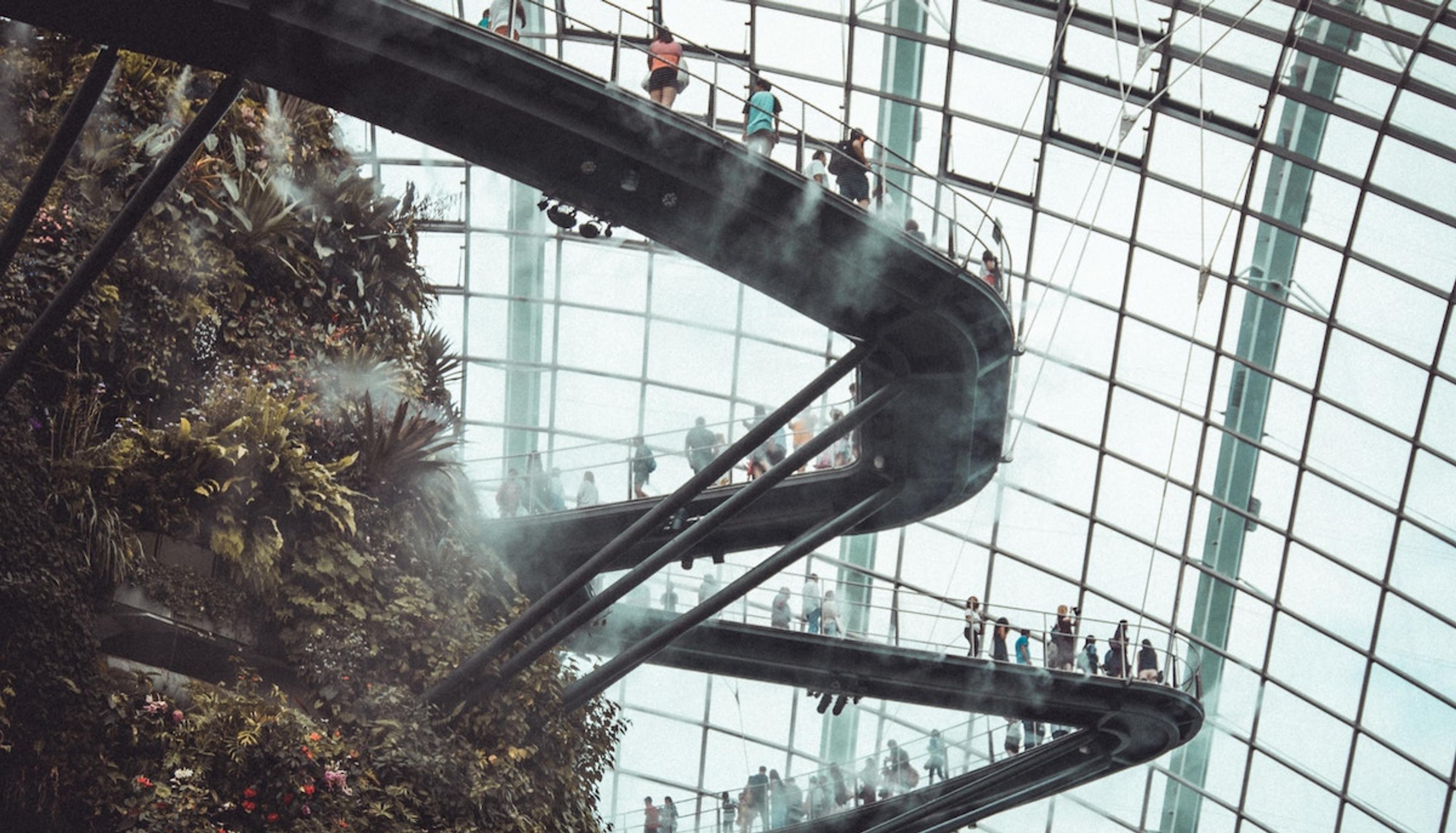 AI and the Future of HR