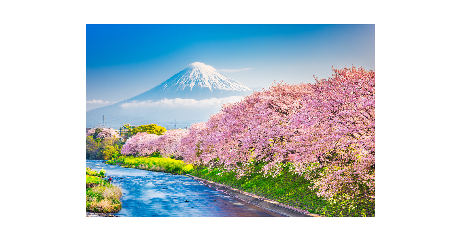 Japan at an Inflection Point