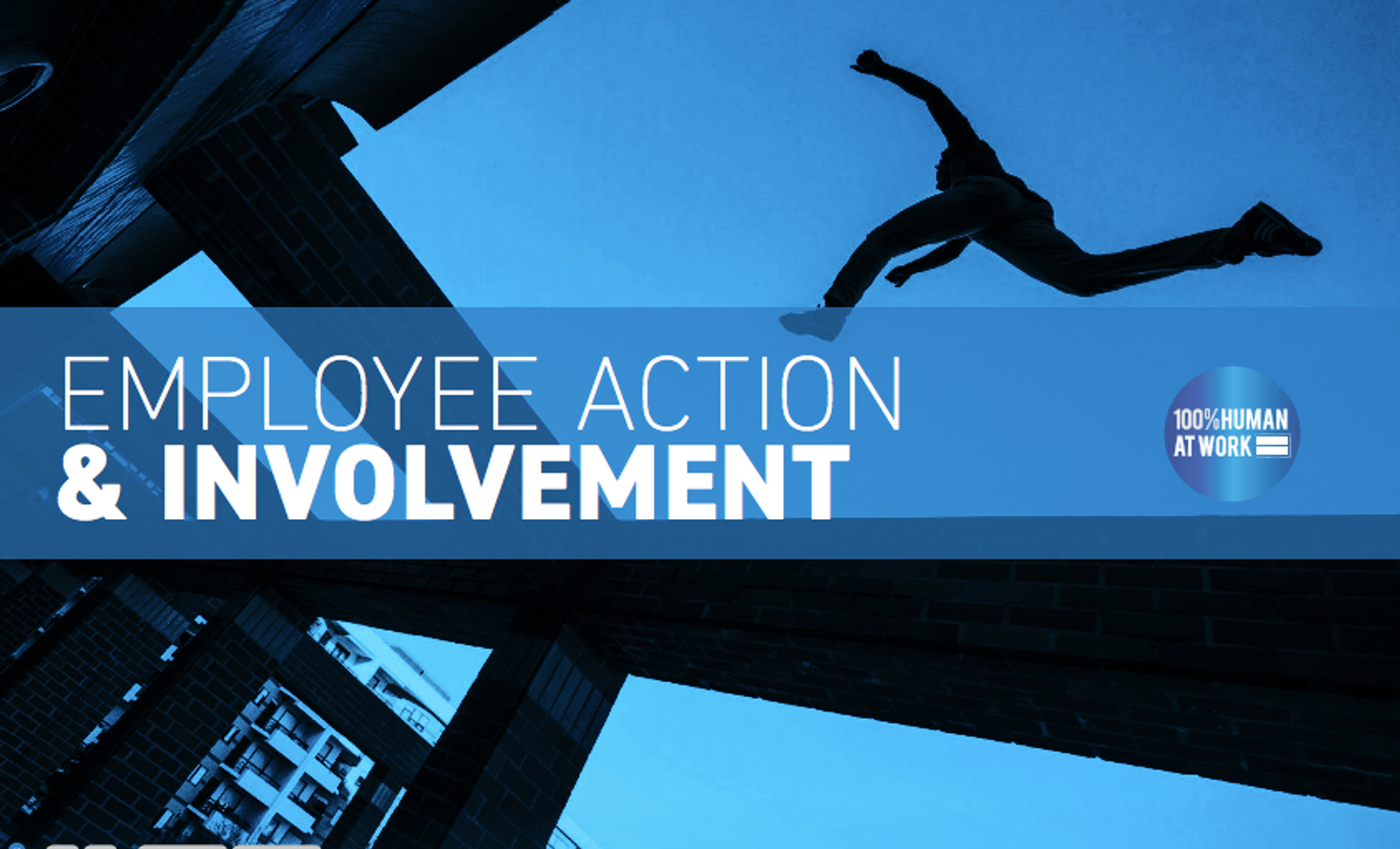 How Bunzl Humanised Their Workplace