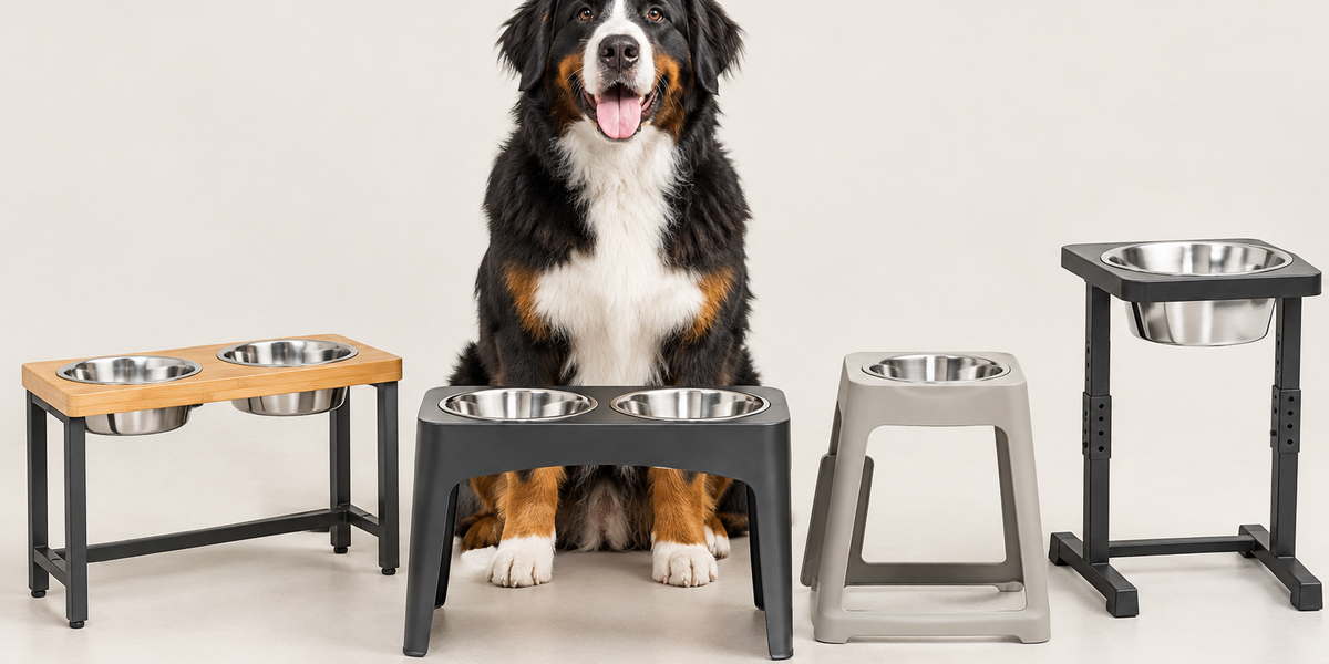 Best Elevated Dog Bowls for Large Dogs 2026: Height and Design Compared