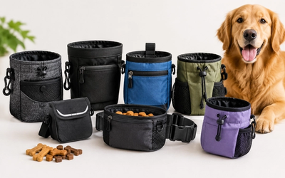 Best Treat Pouches for Dog Training in 2026: 7 Top Picks Tested by Trainers