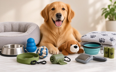 10 Dog Products Under $20 That Are Actually Worth Buying (2026)