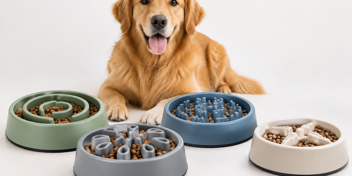 Best Slow Feeder Bowls for Dogs That Eat Too Fast 2026