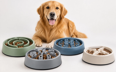 Best Slow Feeder Bowls for Dogs That Eat Too Fast 2026