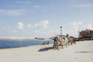 Chania Old Town Highlights Guided Tour with Street Food