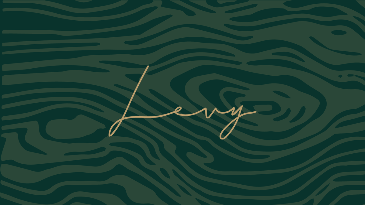 Levy logo, designed by BEND Creative
