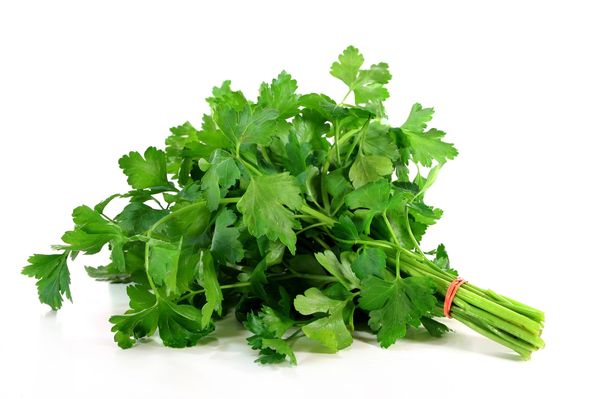Parsley Fresh
