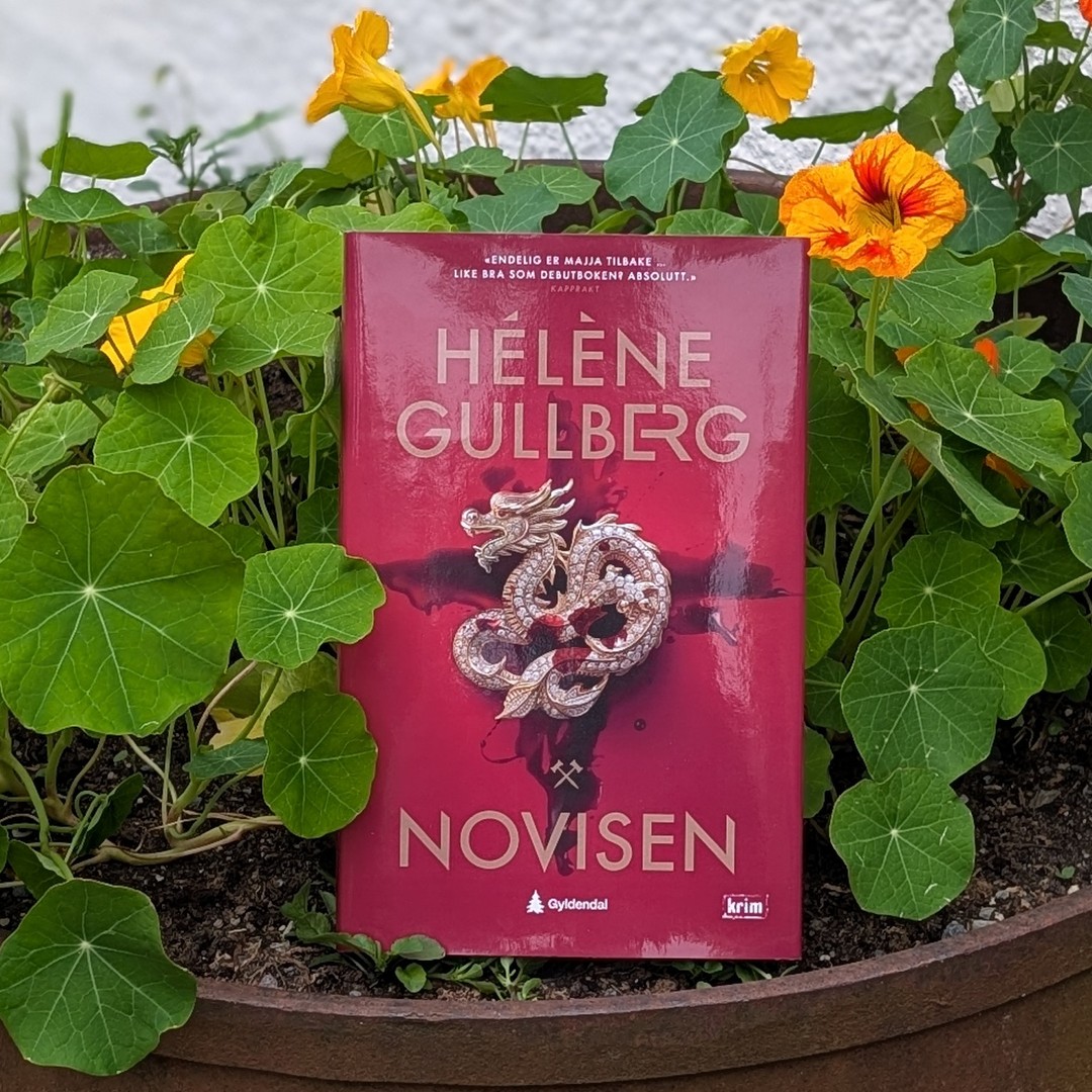 Foto av boken Novisen