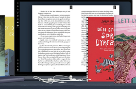 Illustrasjon, 5 forskjellige bøker, en e-bok på nettbrett og øreplugger for å vise til lydbok.