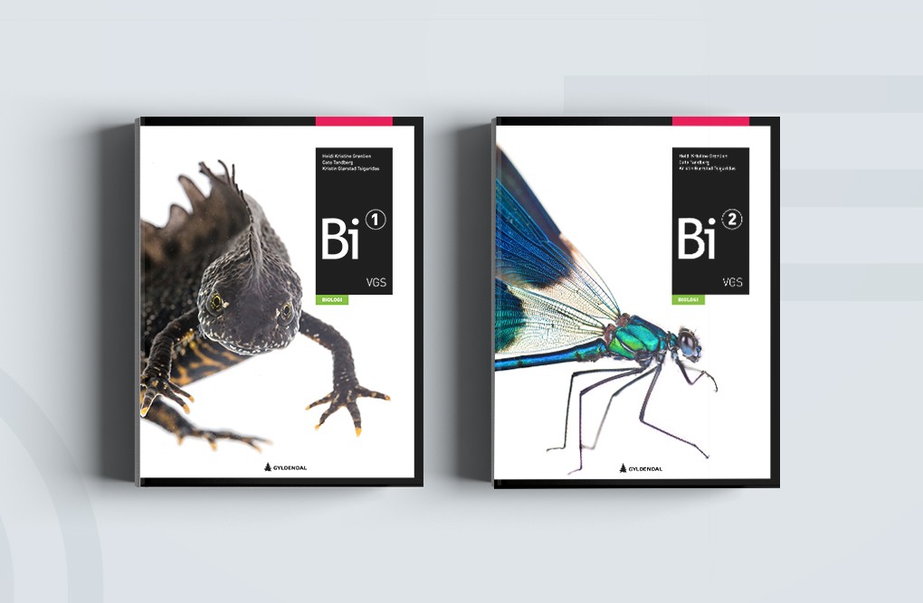 Bi – Biologi Vg2/Vg3 SF