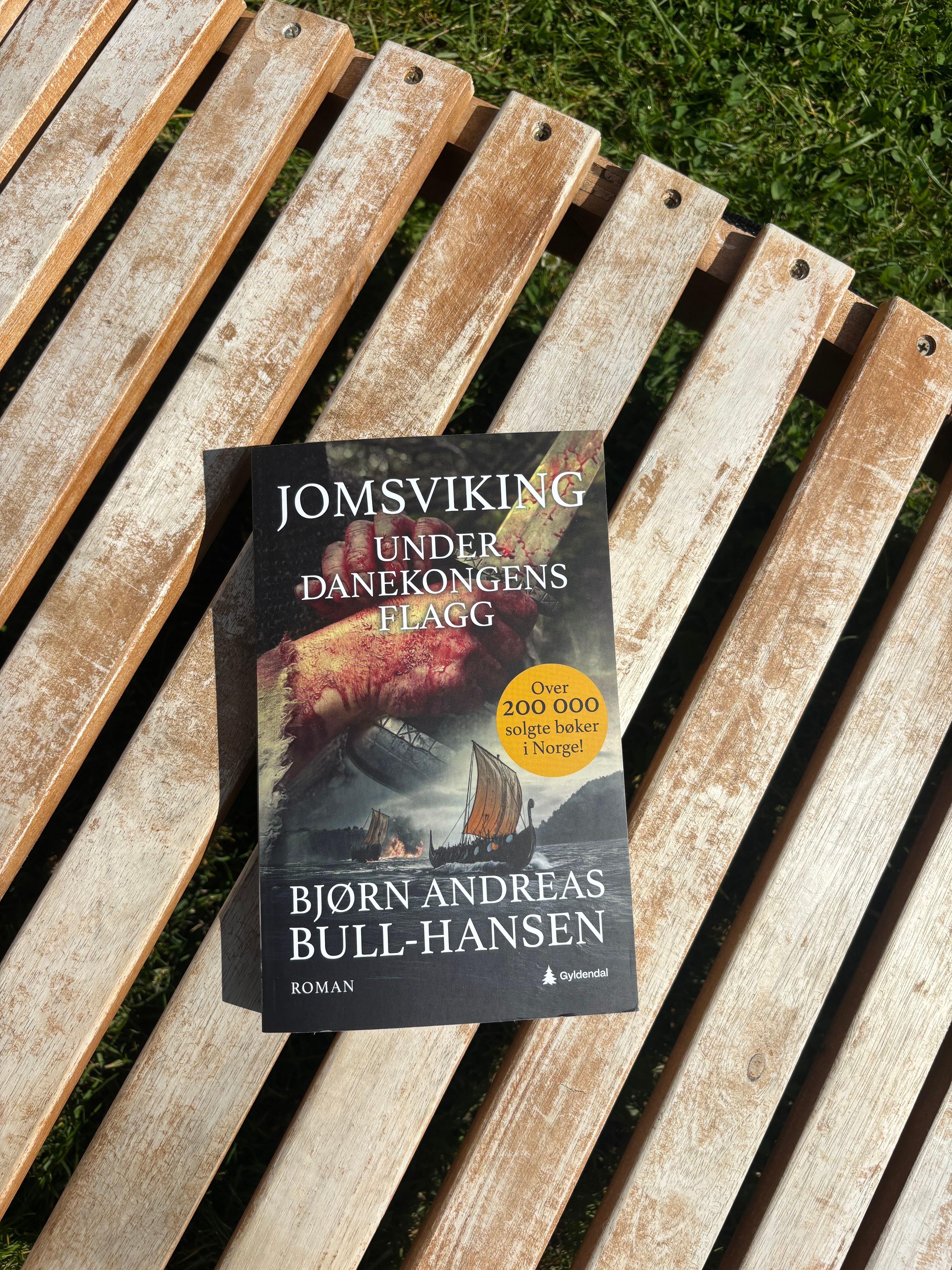 Omslag på boka Under danekongens flagg