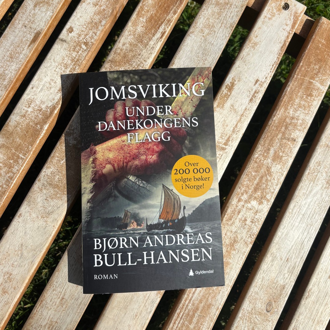 Omslag på boka Under danekongens flagg