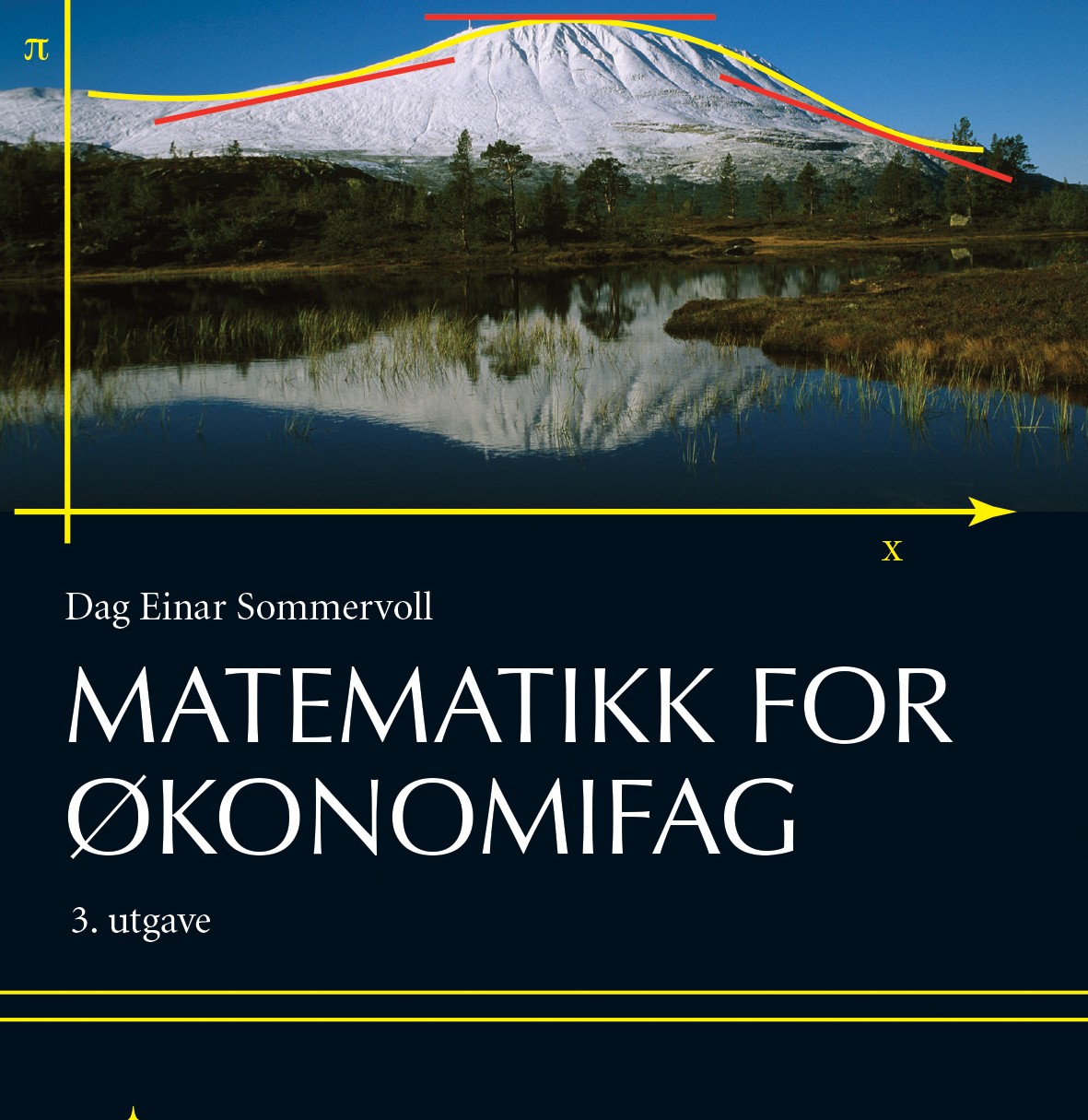 Matematikk for økonomifag