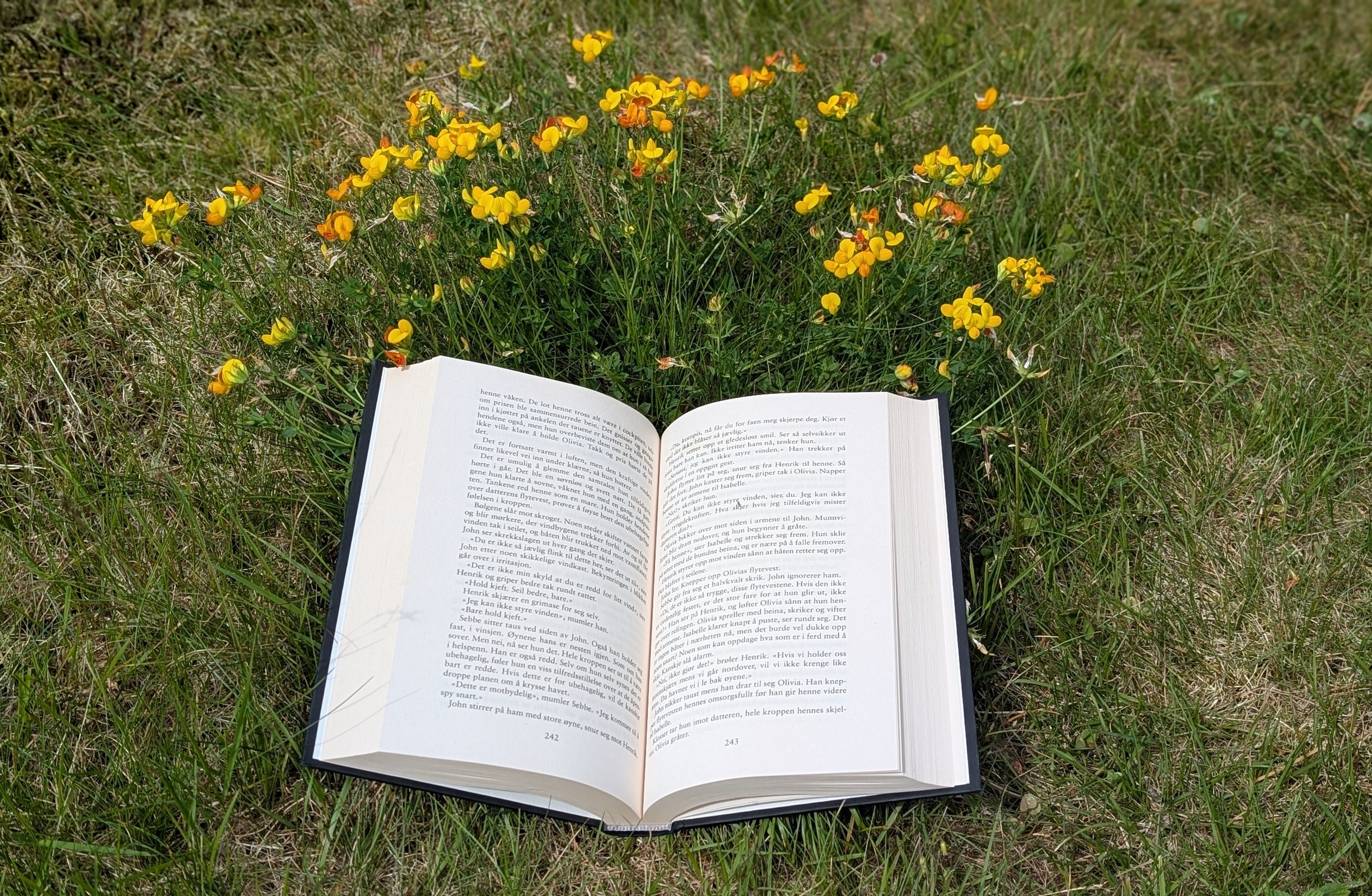 En oppslått bok med gule blomster bak