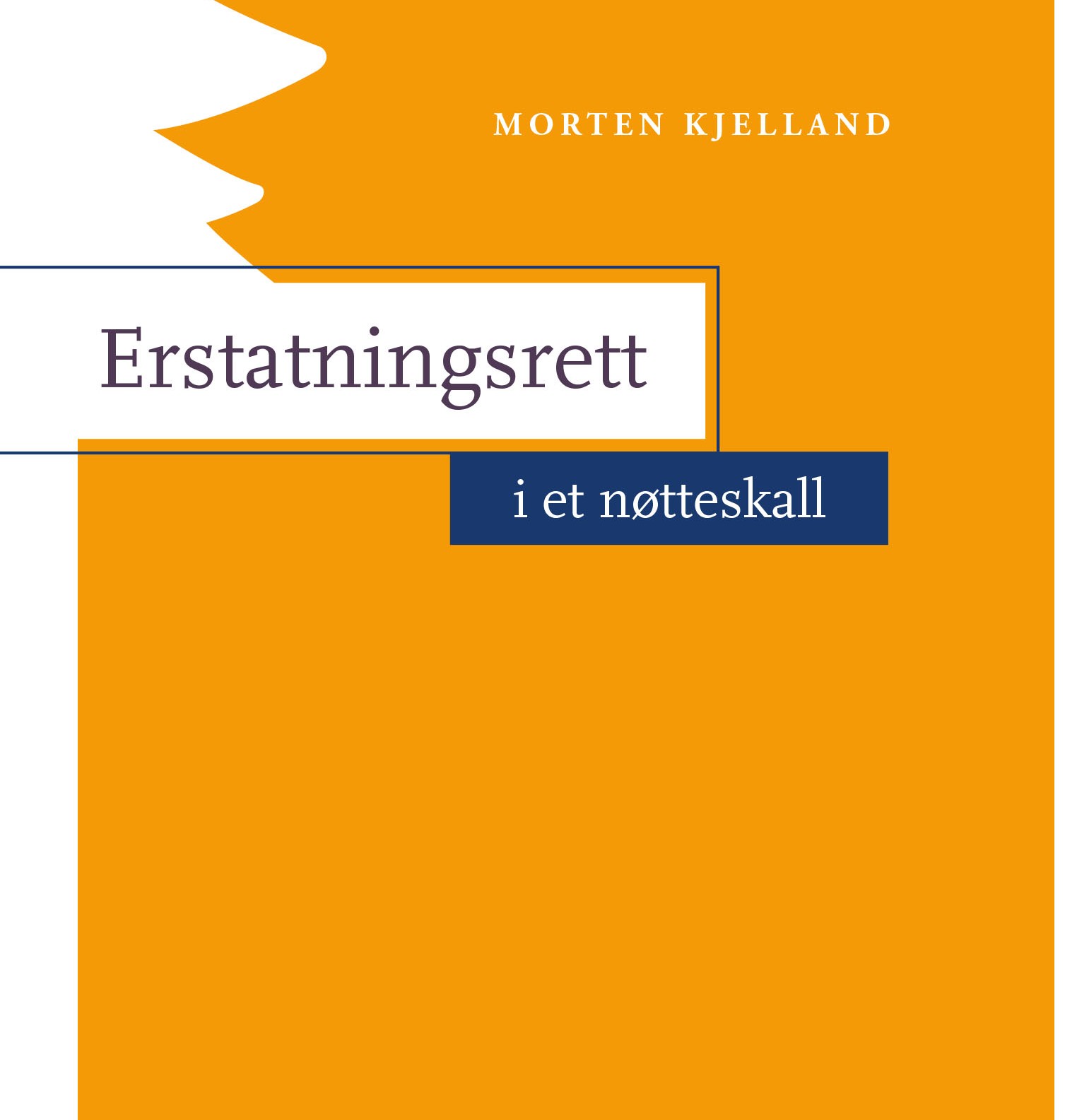 Erstatningsrett i et nøtteskall