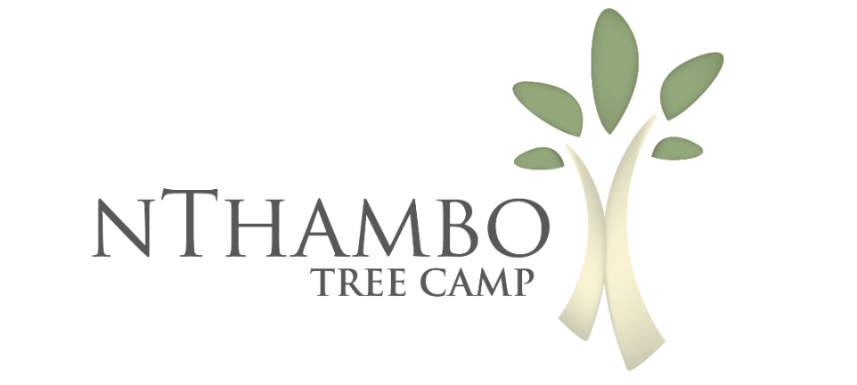 Nambu Camp