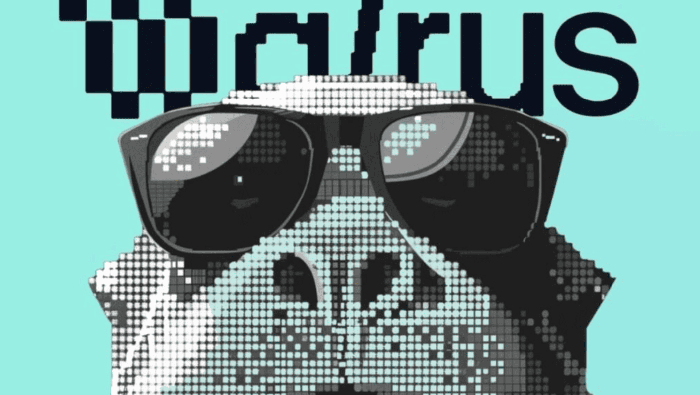 Walrus Mainnet Storage Node