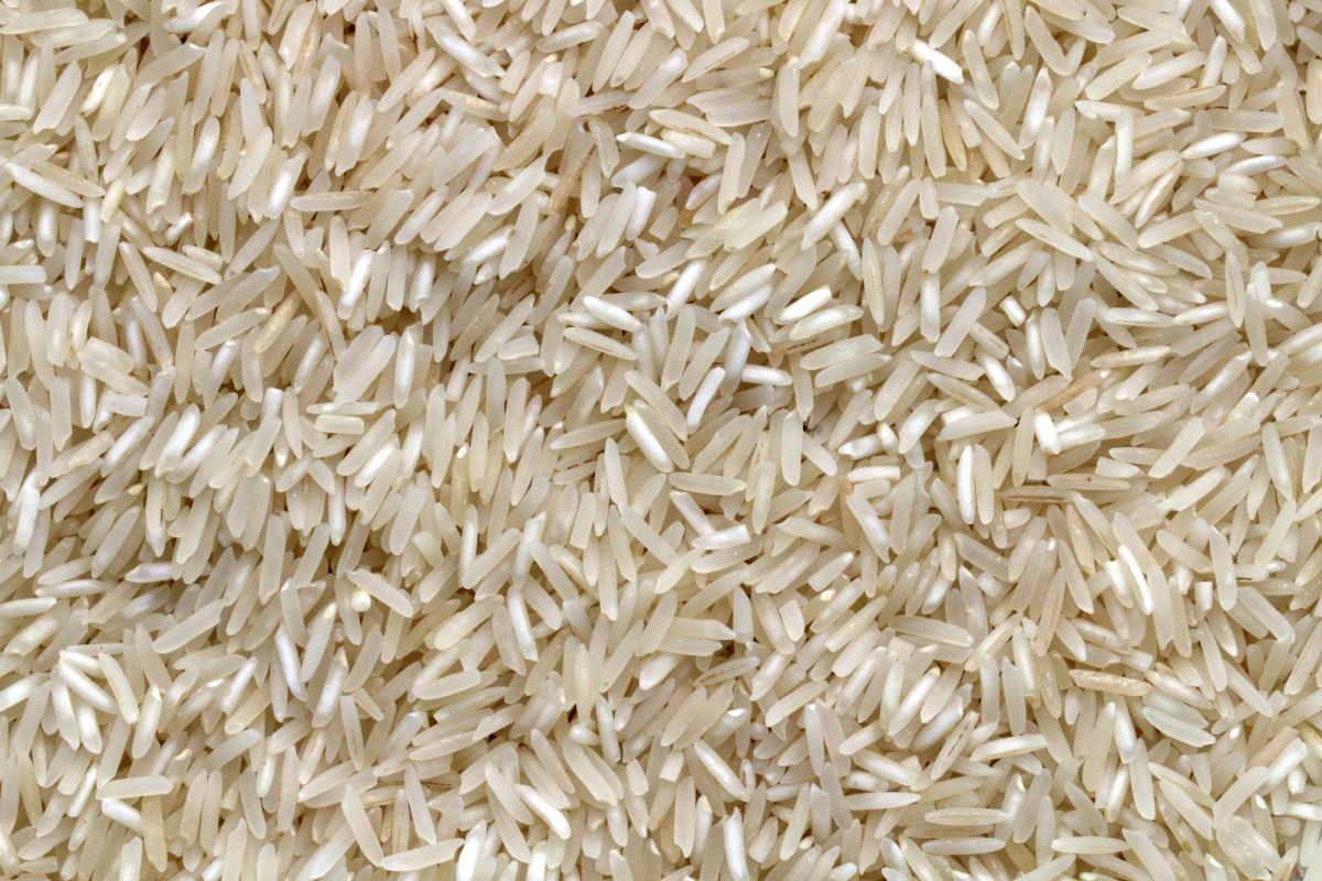 Grains of aromatic rice