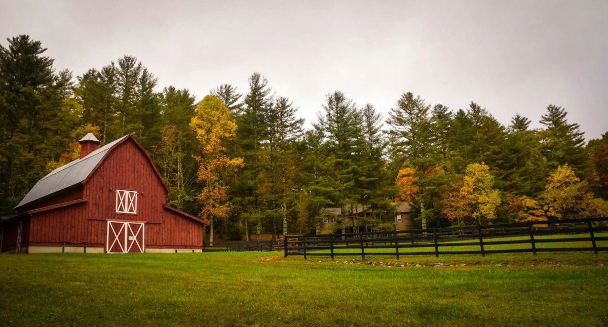 A red barn among autumn trees