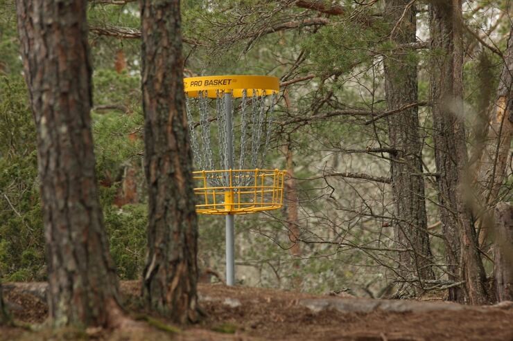 Disc Golf Pro Basket