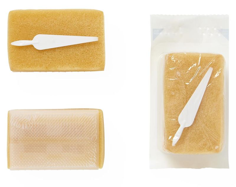 Medline CHG Surgical Scrub Brush