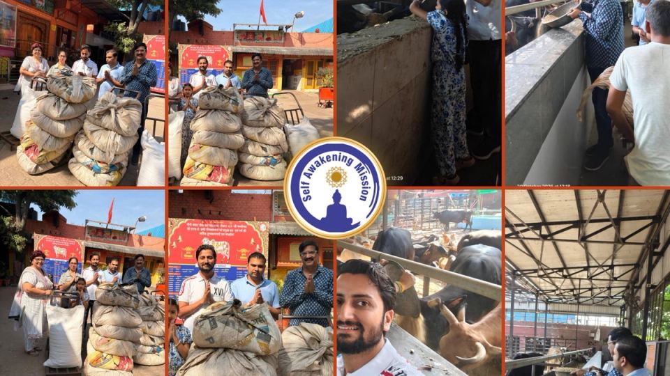 Self Awakening Mission volunteers doing Cow Sewa at the Gaushala in Sector 45 D, Chandigarh