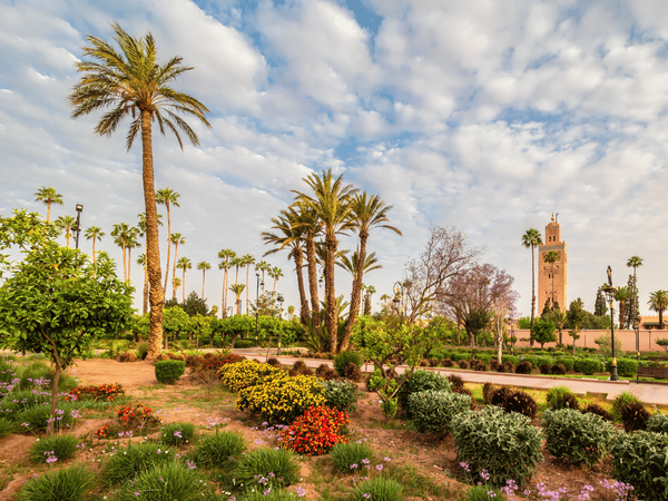 5 Days Private tour from Agadir to Fes via the Desert