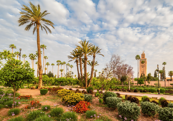 5 Days Private tour from Agadir to Fes via the Desert
