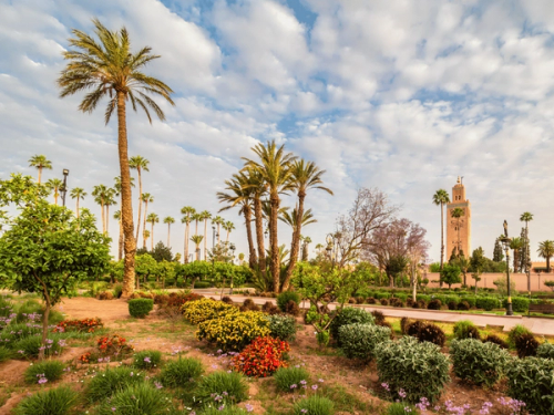 5 Days Private tour from Agadir to Fes via the Desert